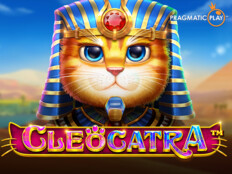 Casino cashback offers. Cat casino.88